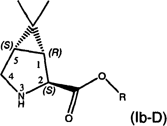 Figure FSB00001007621000041