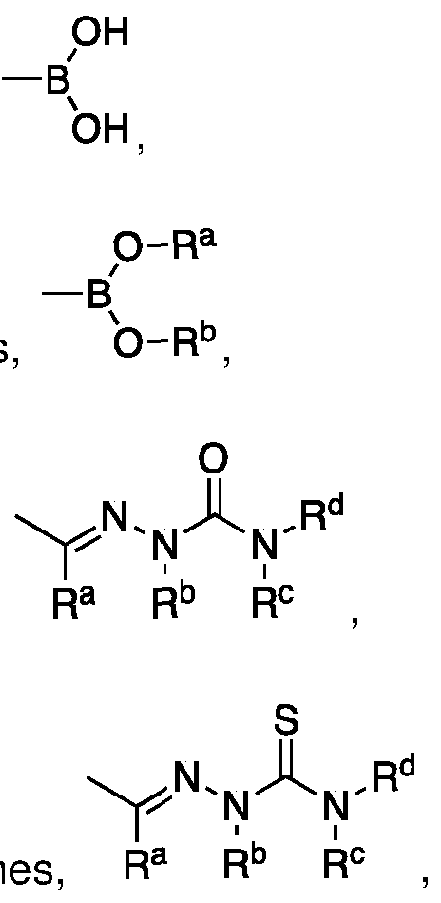 Figure imgf000009_0002