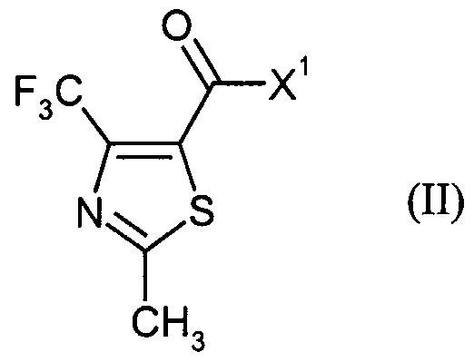 Figure imgf000011_0001