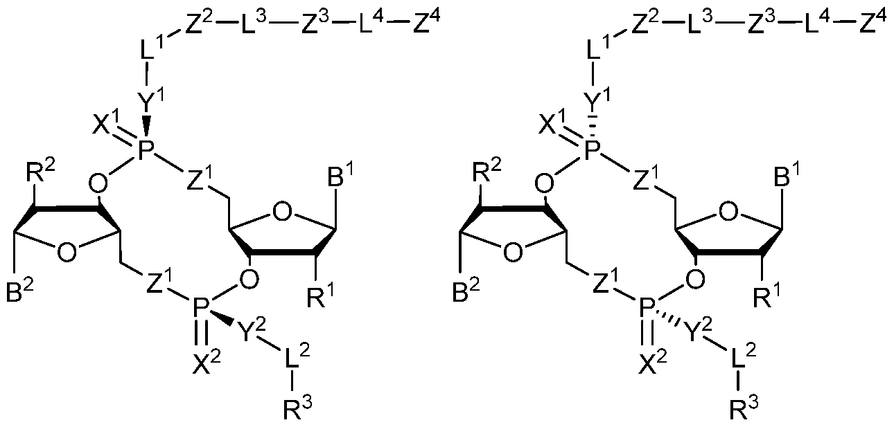 Figure imgf000055_0001
