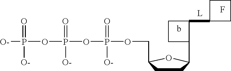 Figure US20110014611A1-20110120-C00017