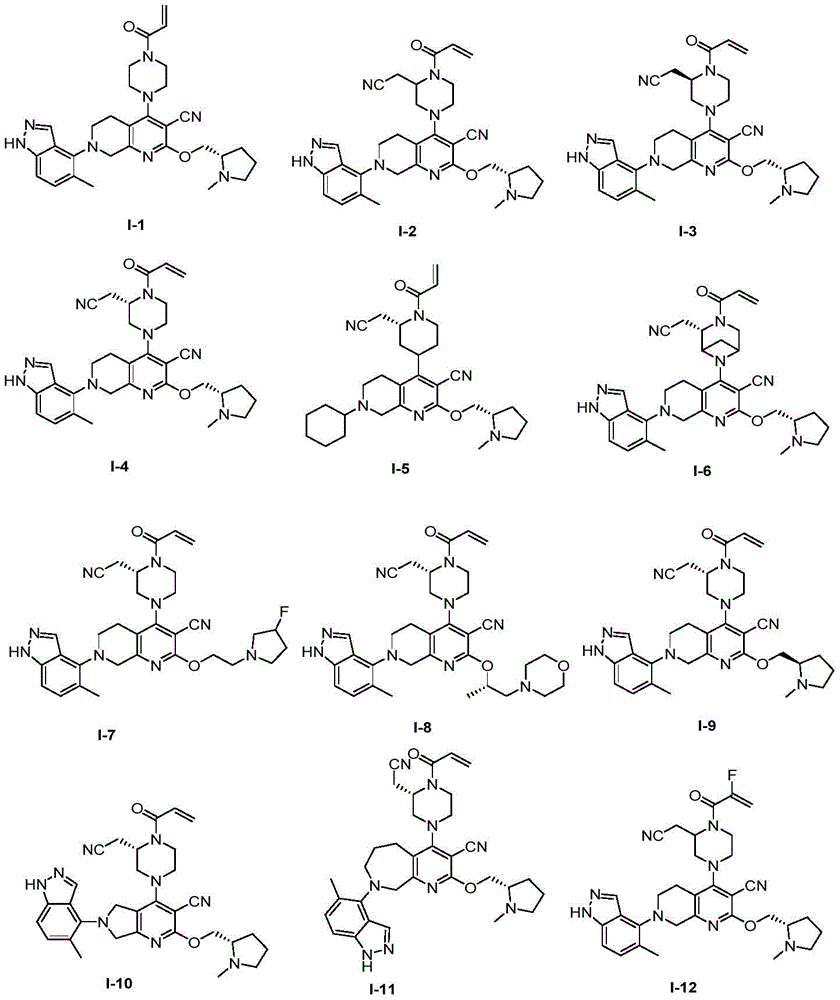 Figure BDA0002144699430000061