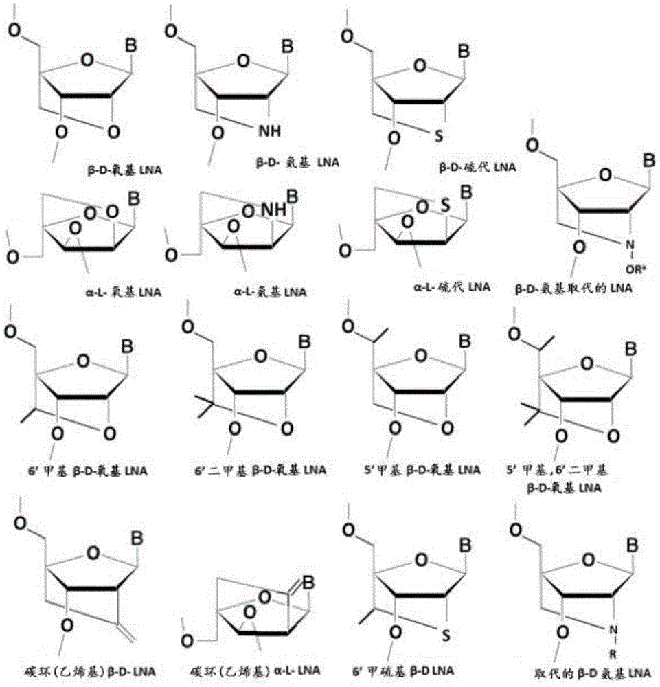 Figure BDA0003936212750000391