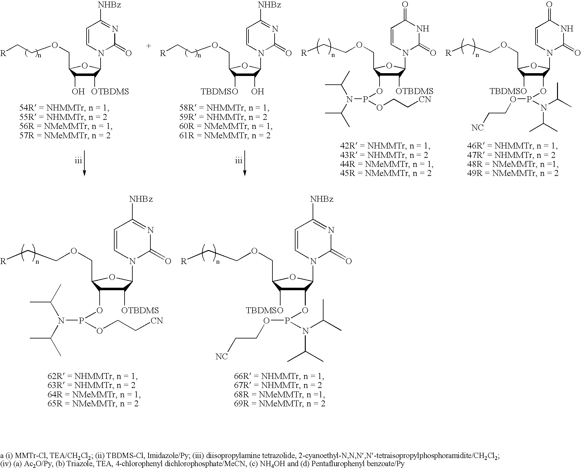 Figure US20070105803A1-20070510-C00153