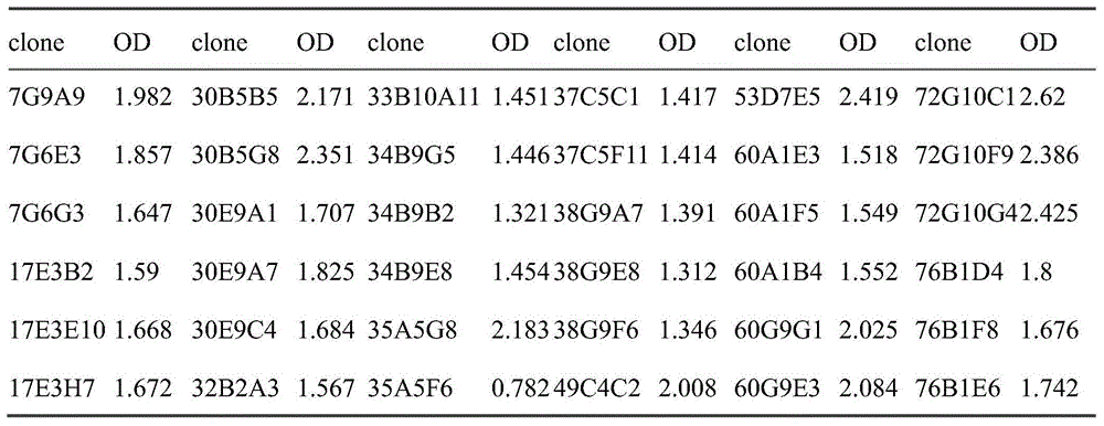 Figure BDA0002080313060000081