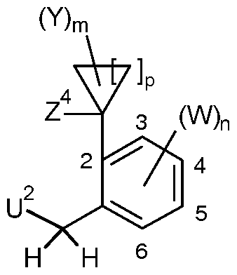 Figure imgf000011_0002