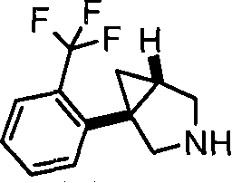 Figure S05812615520061025D000602