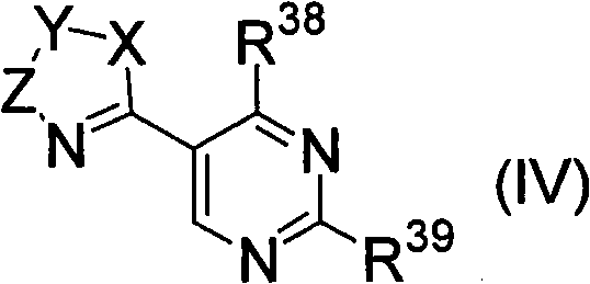 Figure G2008800071743D00301