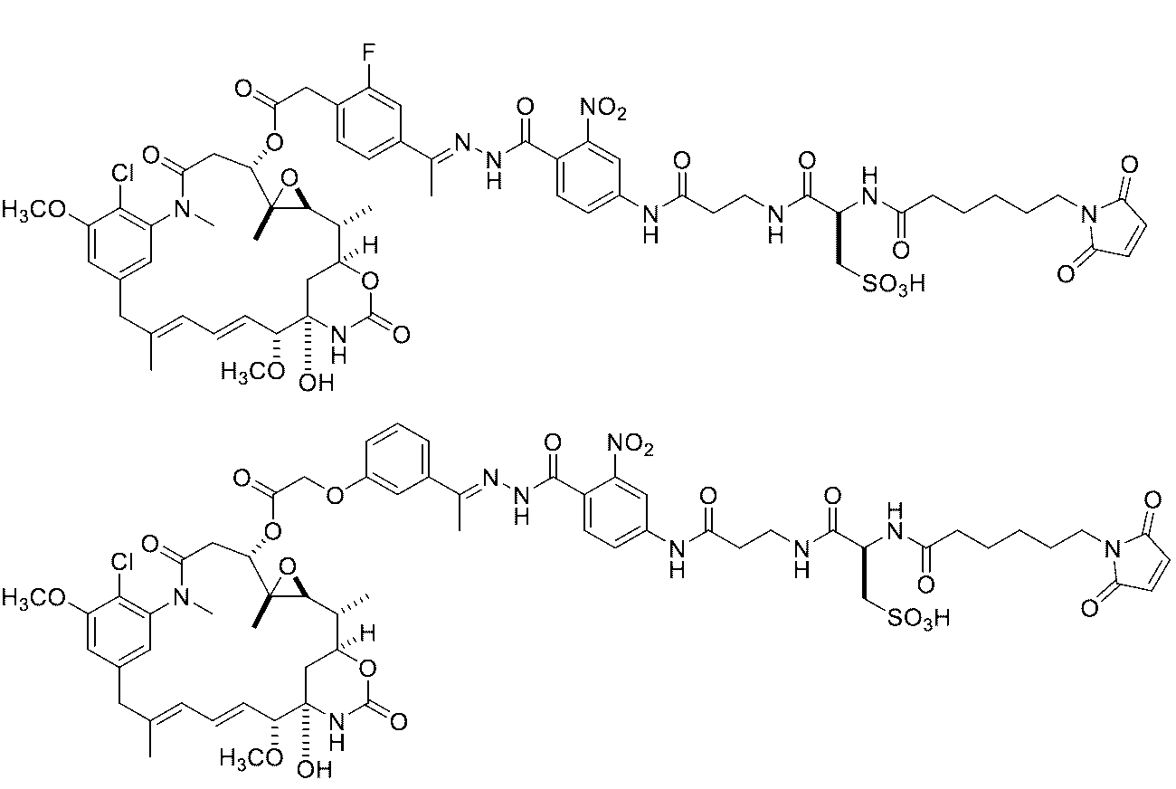 Figure 0007442821000177