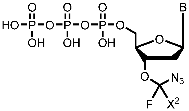 Figure imgf000198_0002