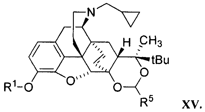 Figure imgf000124_0001