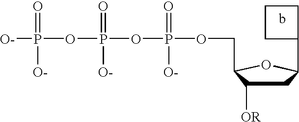Figure US20110014611A1-20110120-C00019