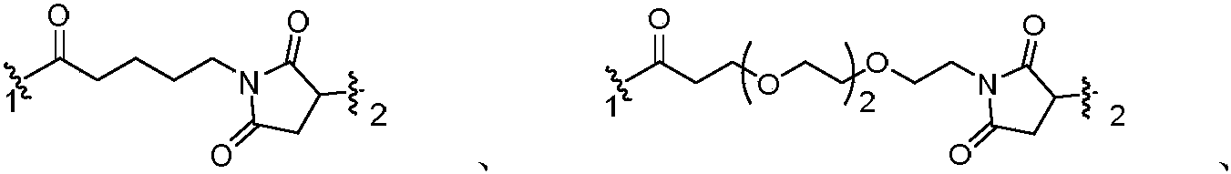 Figure PCTCN2019073148-appb-100054
