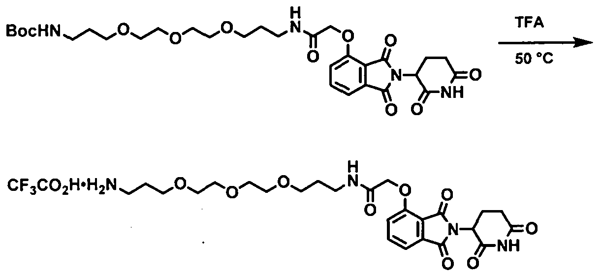 Figure imgf000245_0002