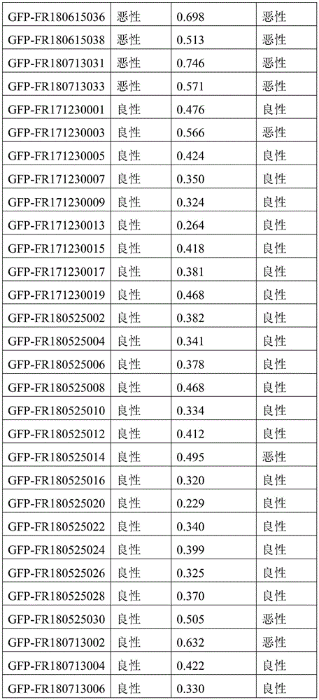 Figure BDA0003401061840000451