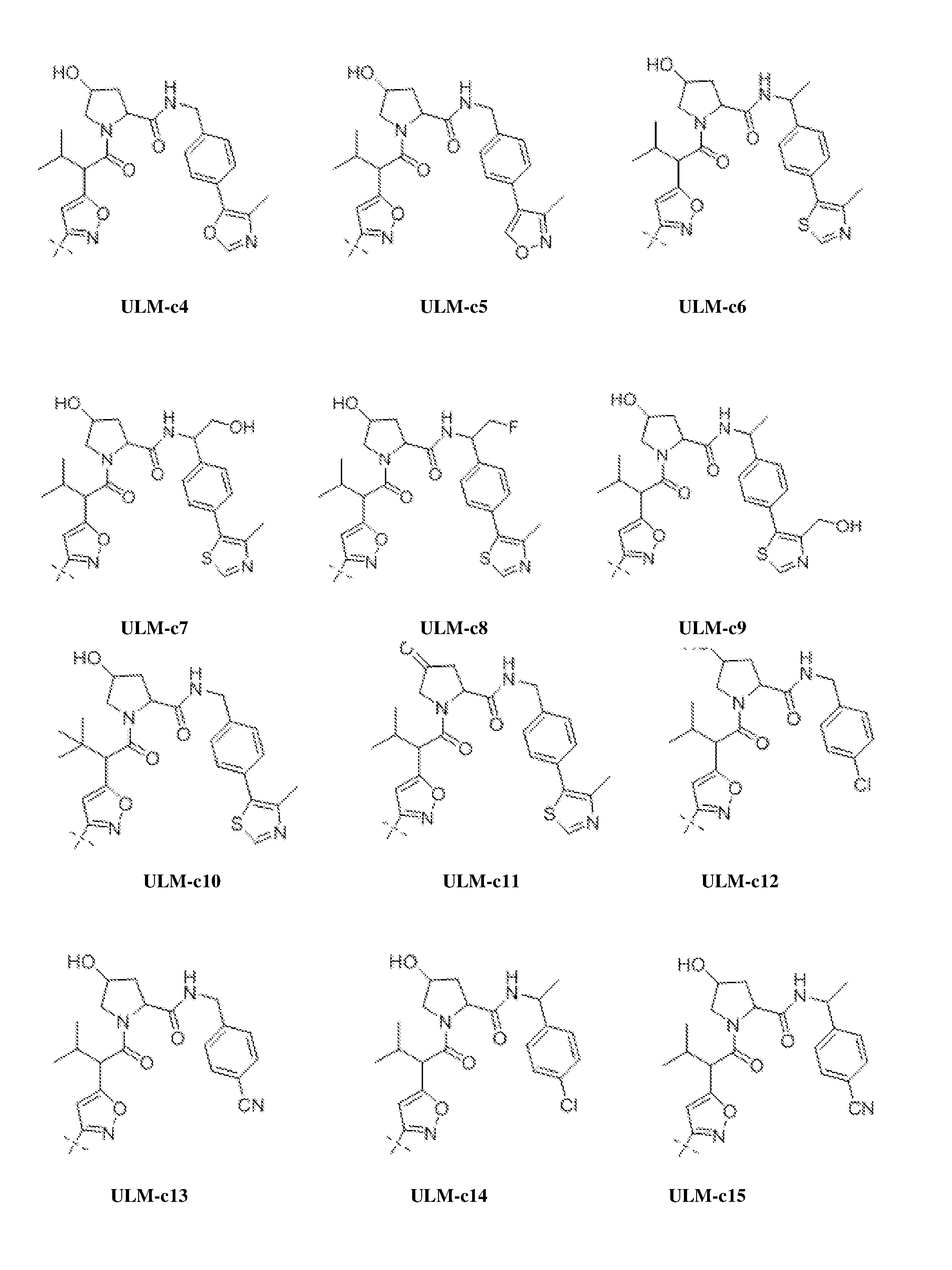 Figure imgf000045_0001