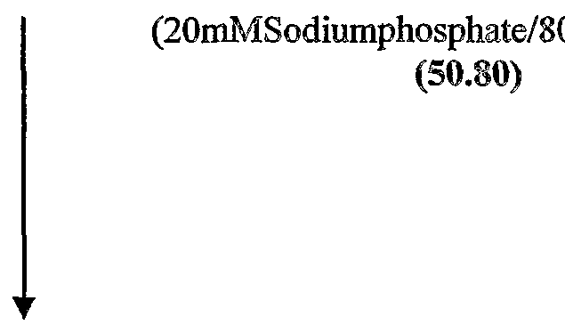 Figure imgf000030_0002