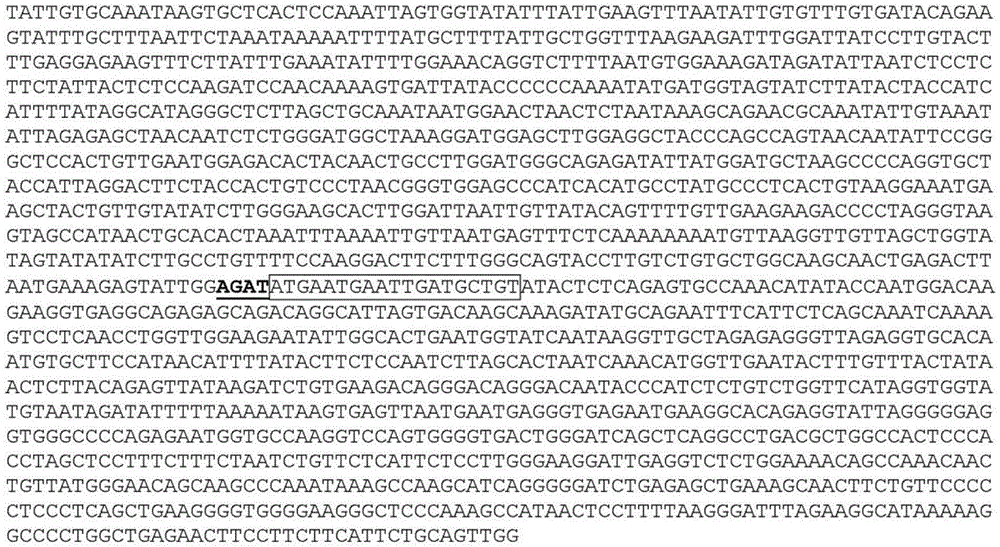 Figure BDA0001425939060000381