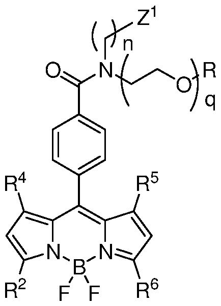 Figure imgf000048_0002
