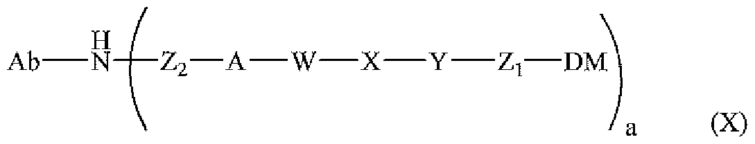 Figure imgf000033_0002