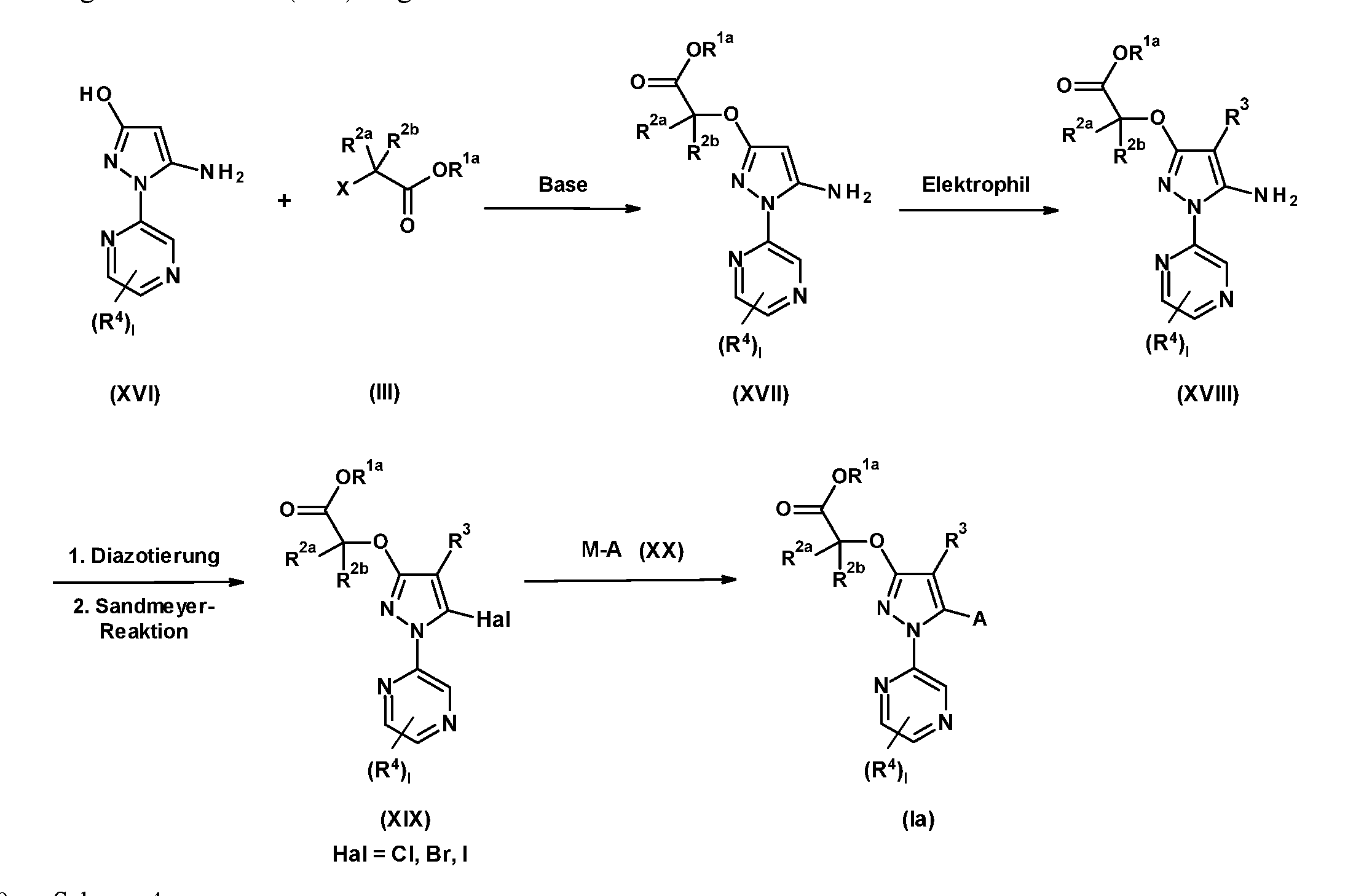 Figure imgf000029_0001