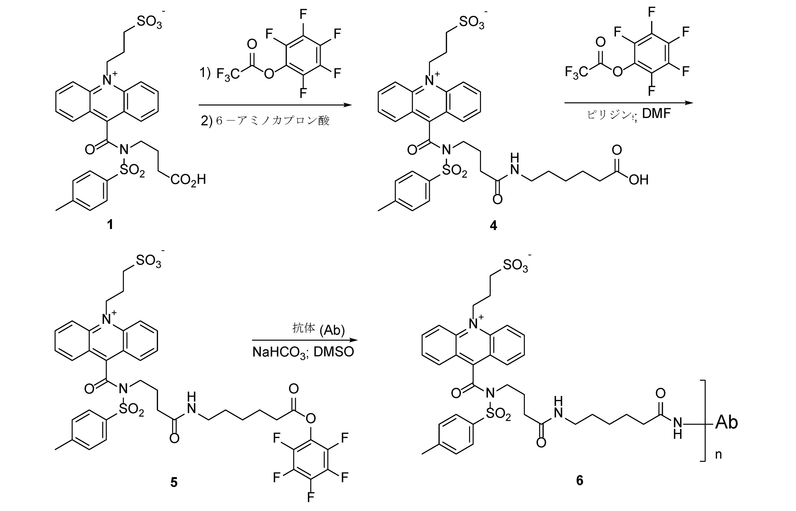 Figure 2022058772000013