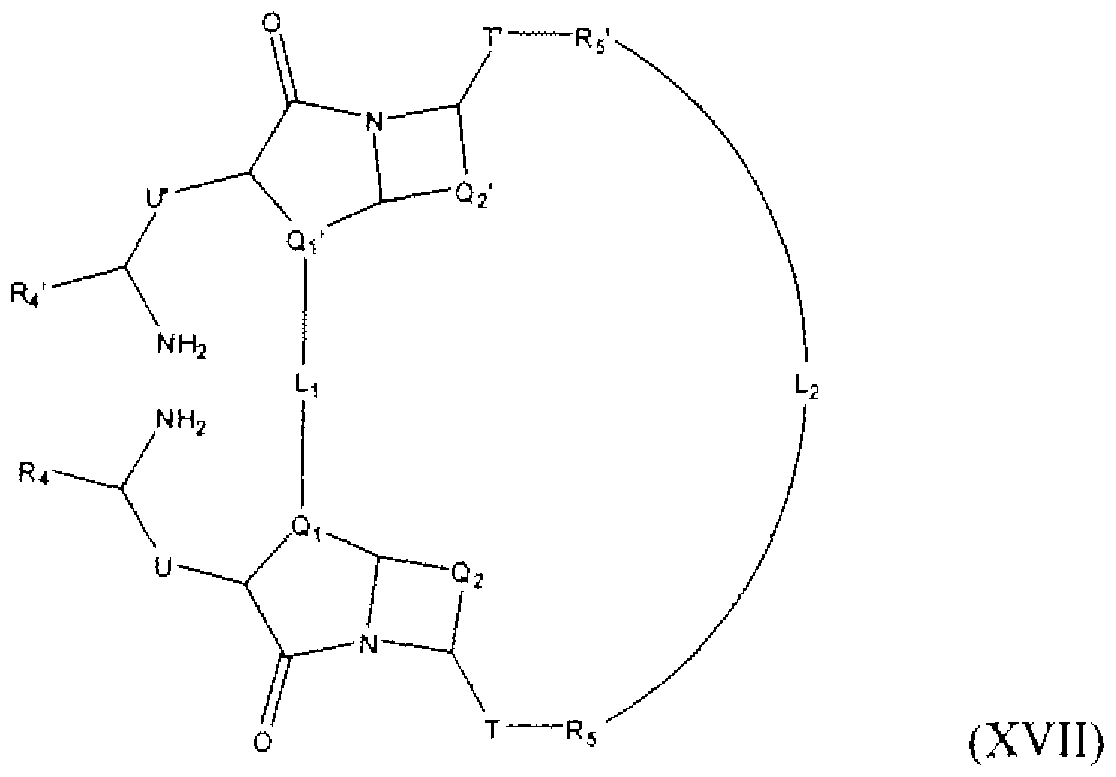 Figure imgf000016_0002