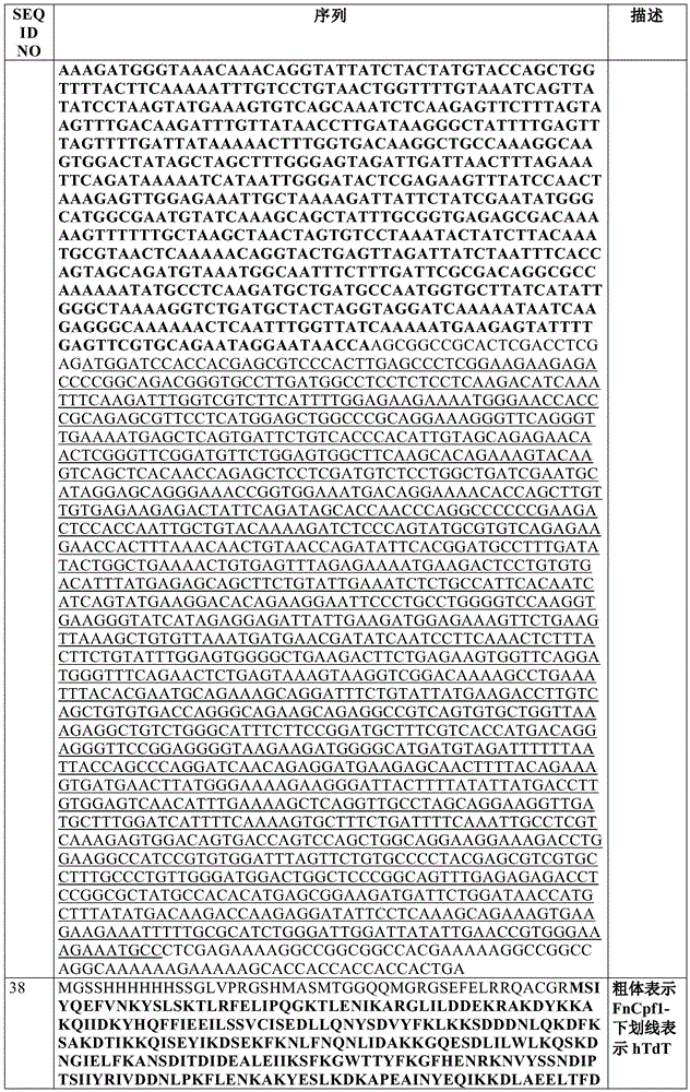 Figure BDA0002550795540001291