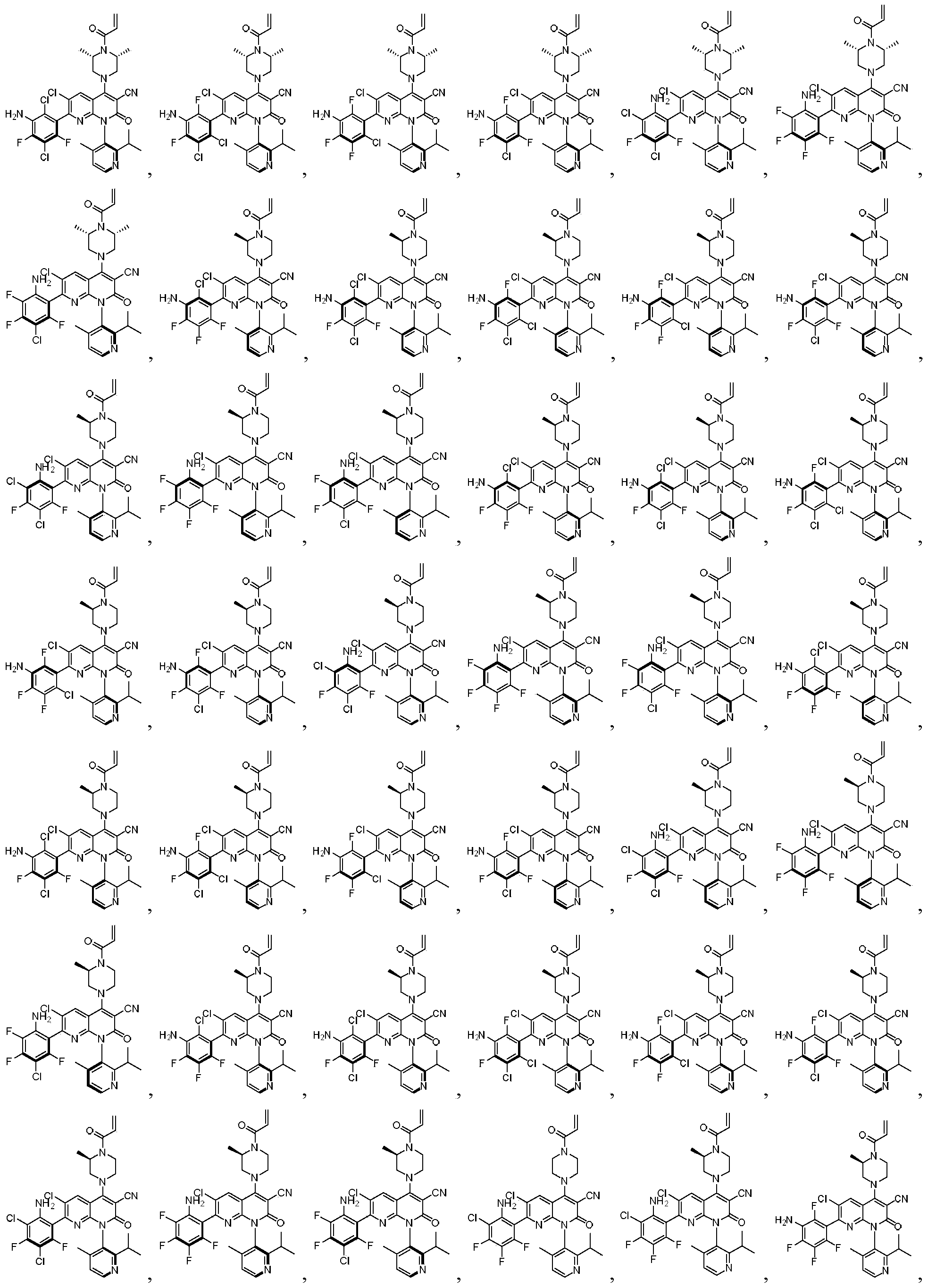 Figure PCTCN2020137497-appb-000058