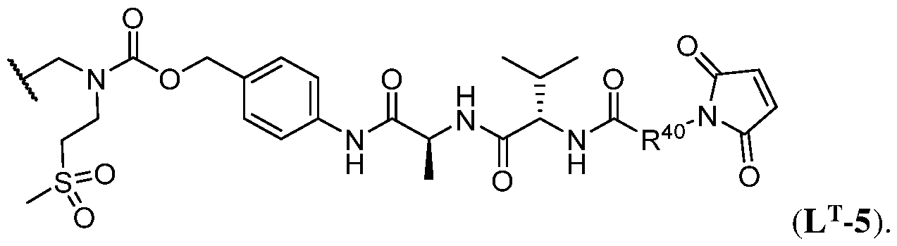 Figure imgf000106_0003