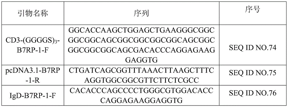 Figure BDA0001198951830000361