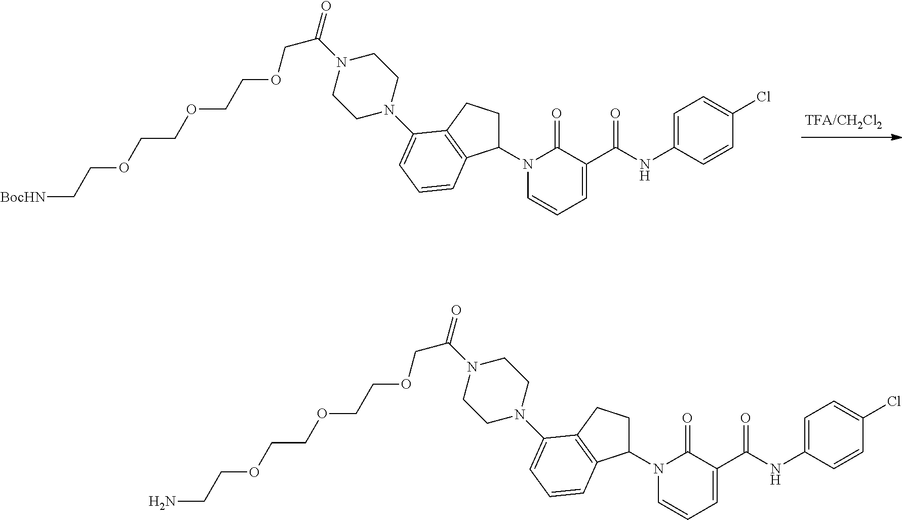 Figure US20110009407A1-20110113-C00074