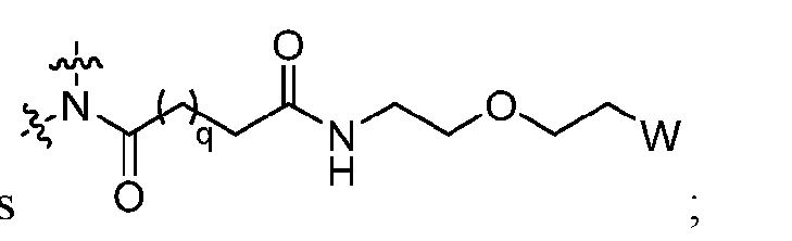 Figure imgf000019_0002