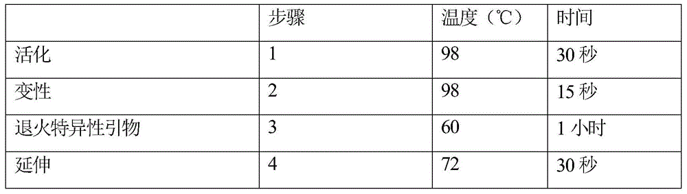 Figure BDA0002357574680000581