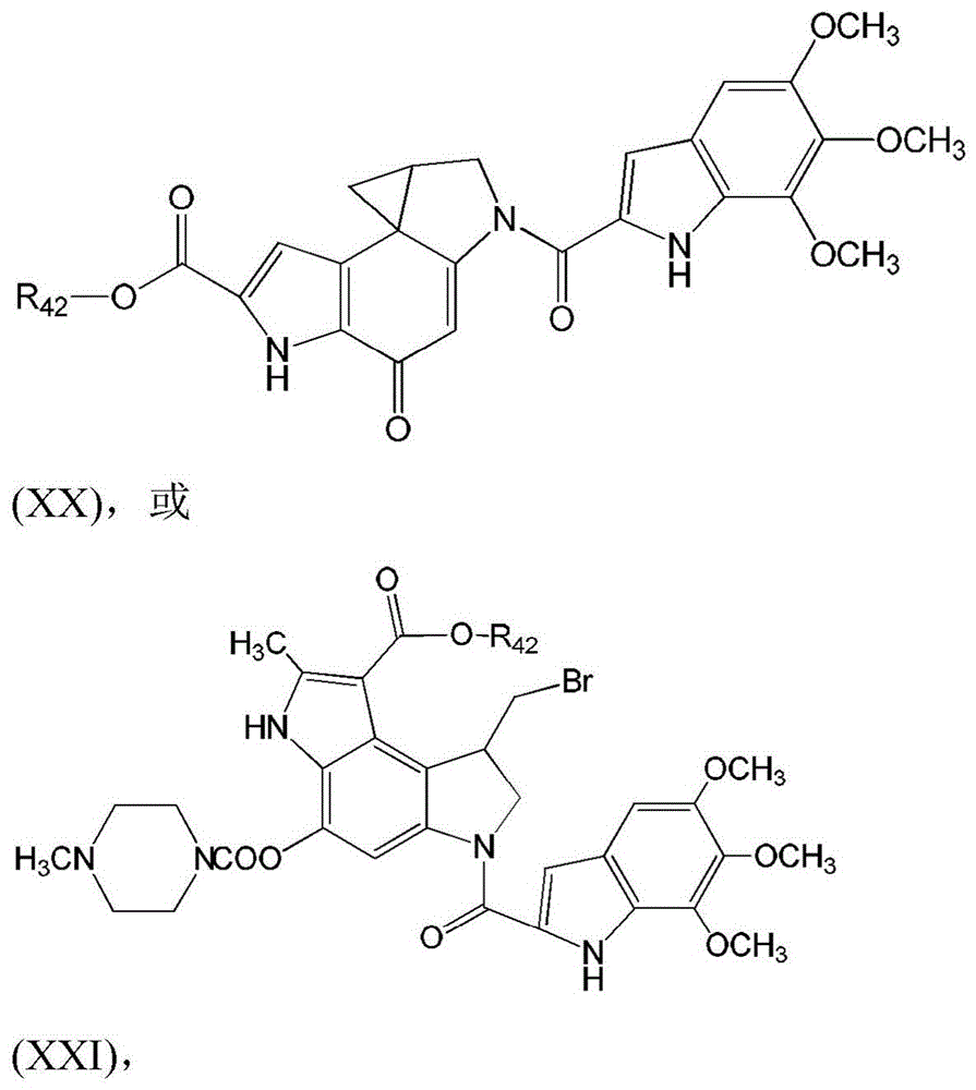 Figure BDA0003135424430001321