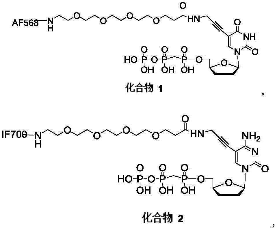 Figure BDA0003852928080000143