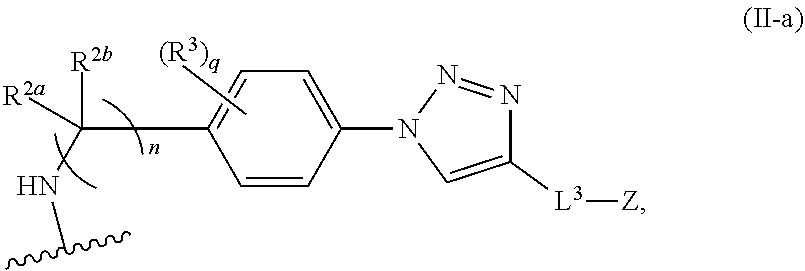 Figure US12161760-20241210-C00024