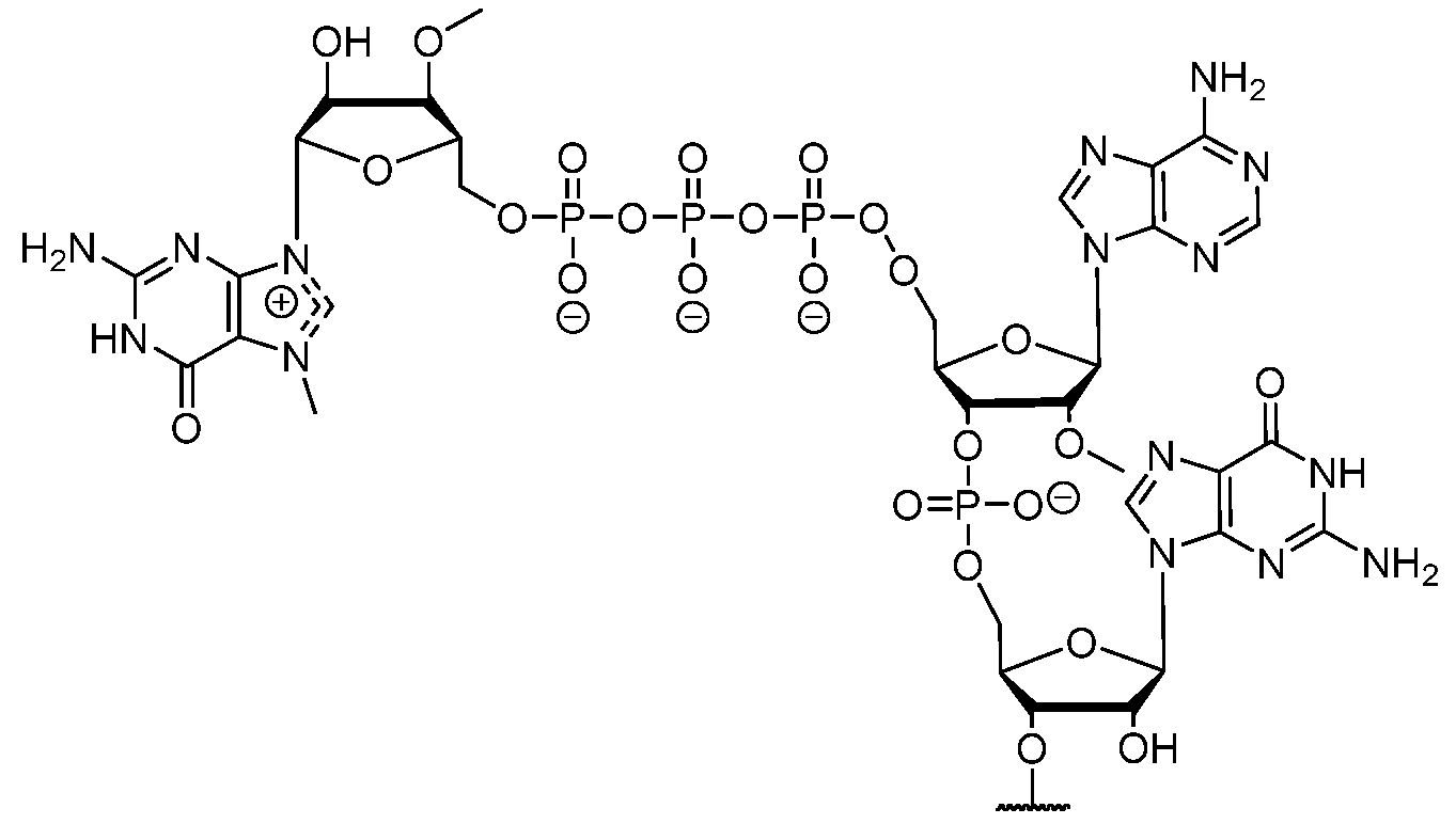 Figure imgf000209_0001