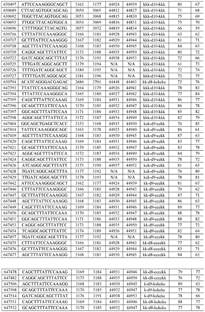 Figure BDA0001407894200001031