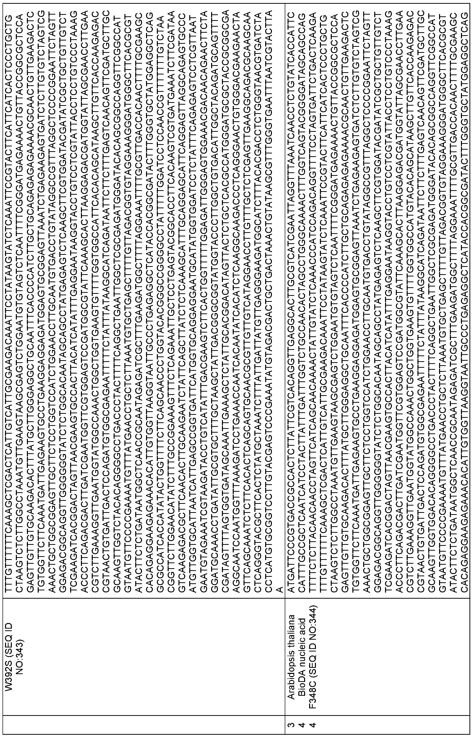 Figure imgf000300_0001