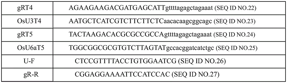 Figure BDA0003740674620000161