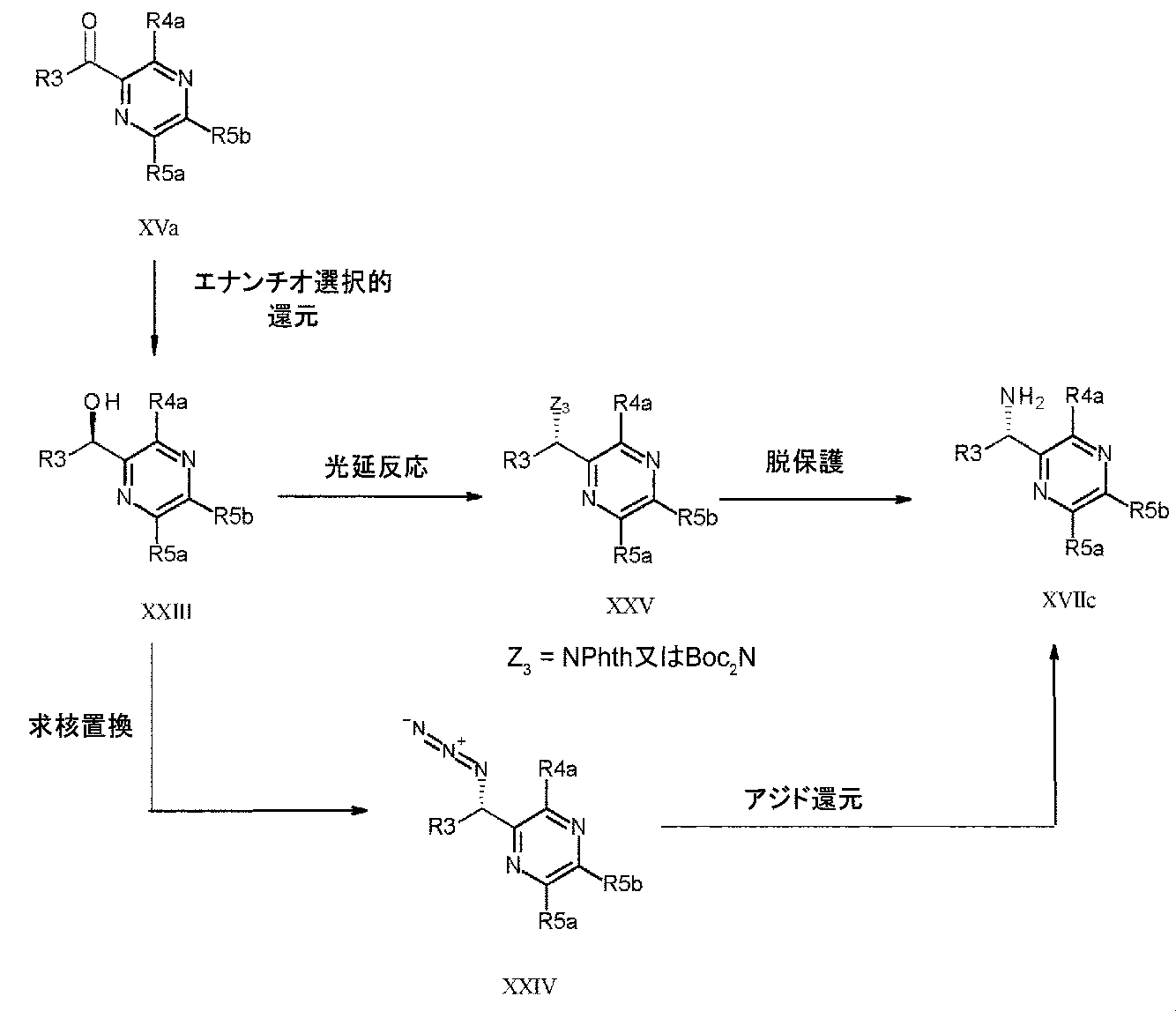 Figure 2024506253000035