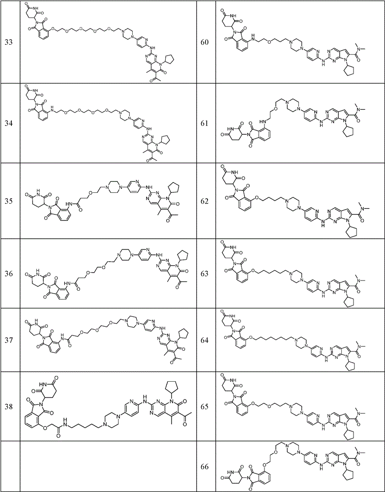 Figure GPA0000265661190000121