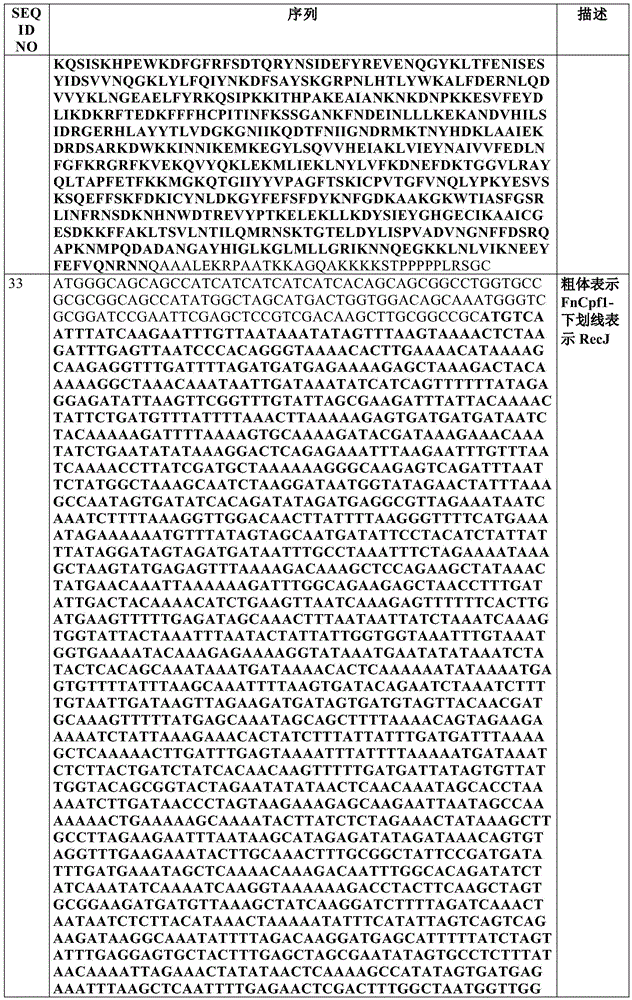 Figure BDA0002550795540001211