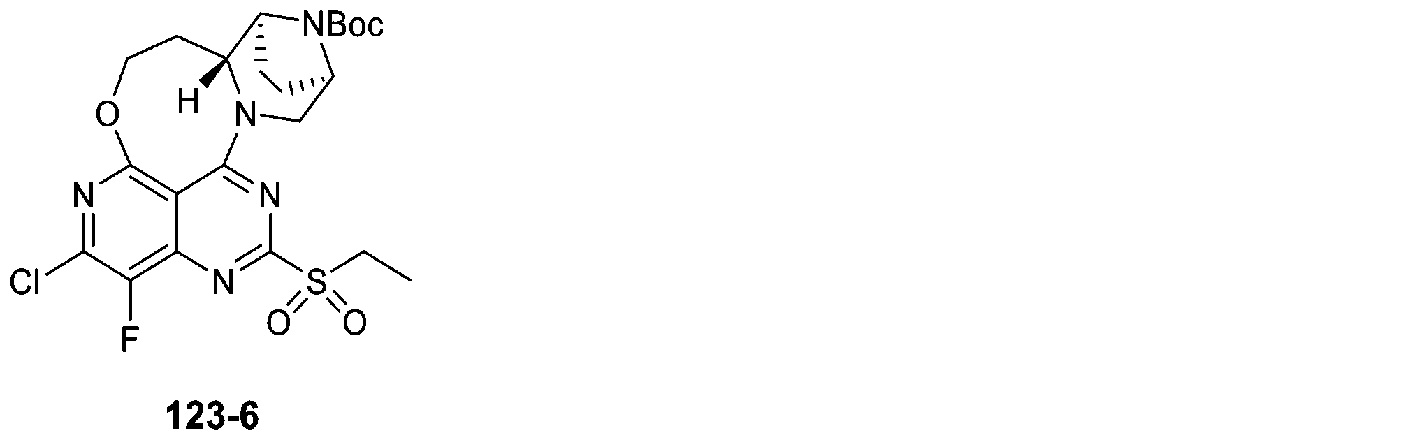 Figure 2025513258000442