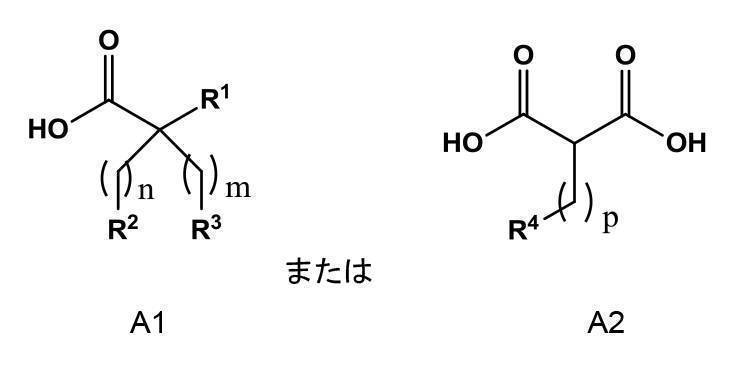 Figure 2022095757000024