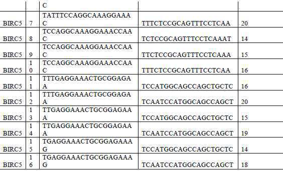 Figure 112020056955871-pat00008