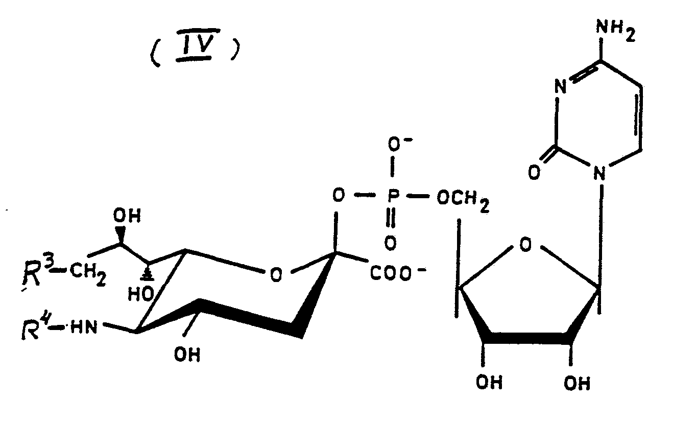 Figure imgf000030_0001
