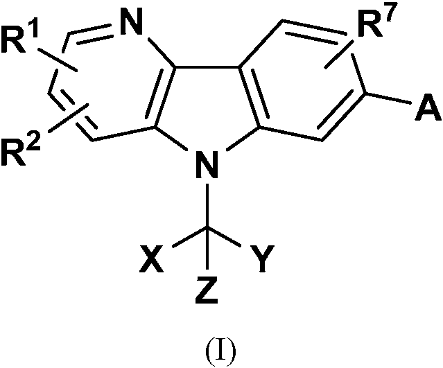 Figure imgf000003_0001