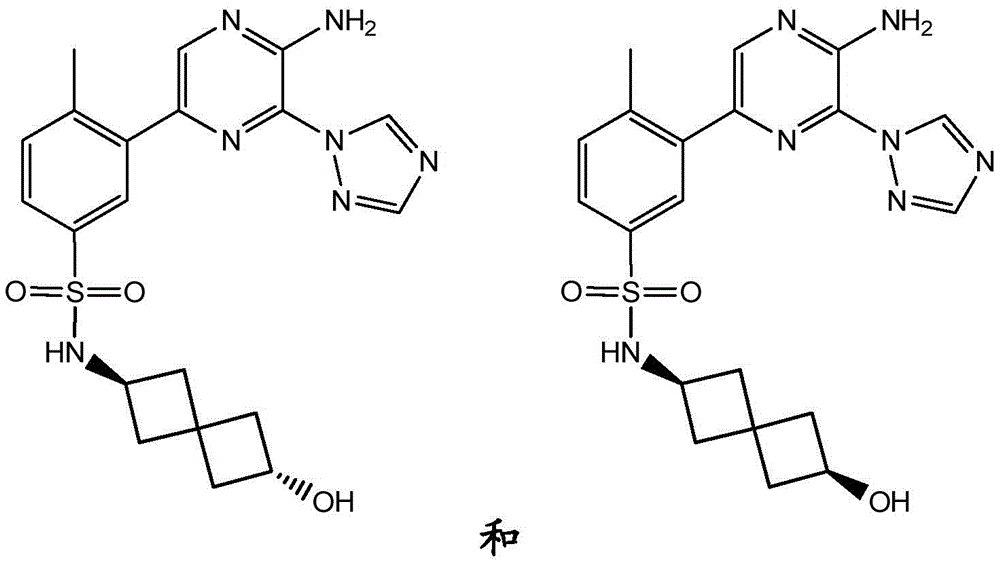 Figure BDA0001166151010001931